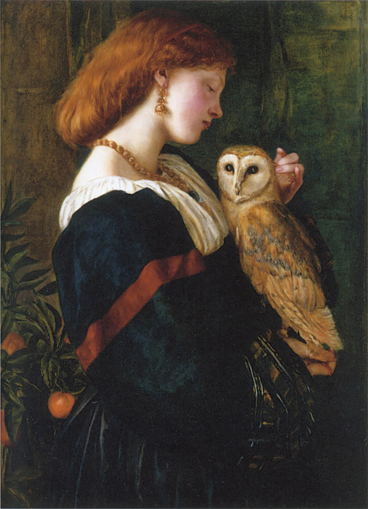 The Barn Owl by Valentine Cameron Prinsep